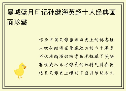 曼城蓝月印记孙继海英超十大经典画面珍藏